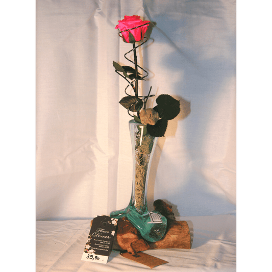Rose Éternelle (rose)