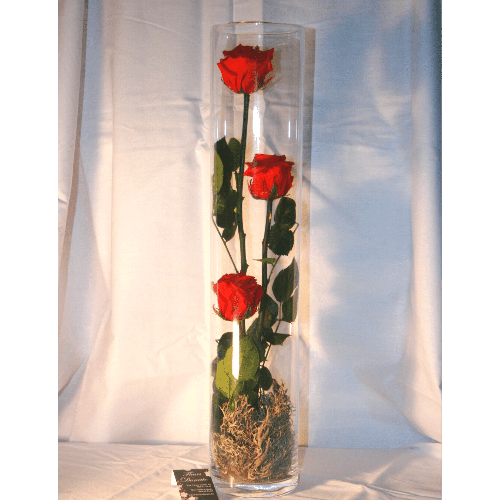 Roses Éternelles (grand format)