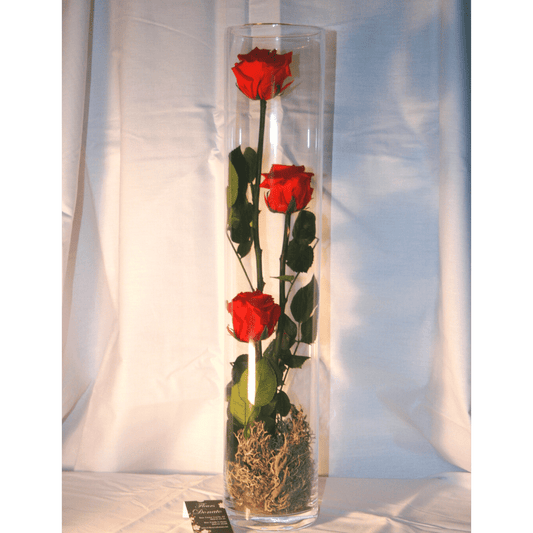 Roses Éternelles (grand format)
